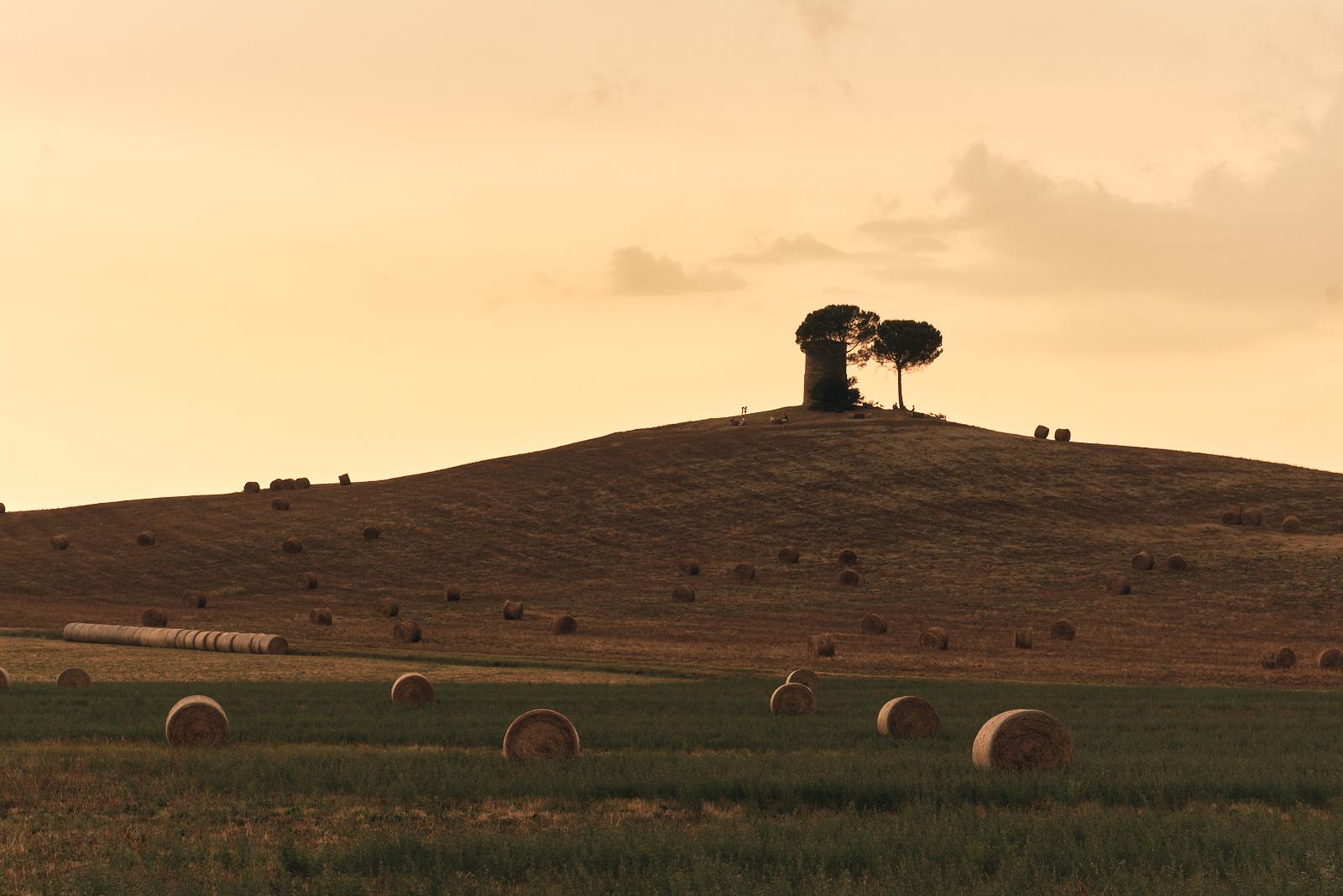 A stone tower and pines silhouetted on a hilltop at sunset, hay bales in the foreground