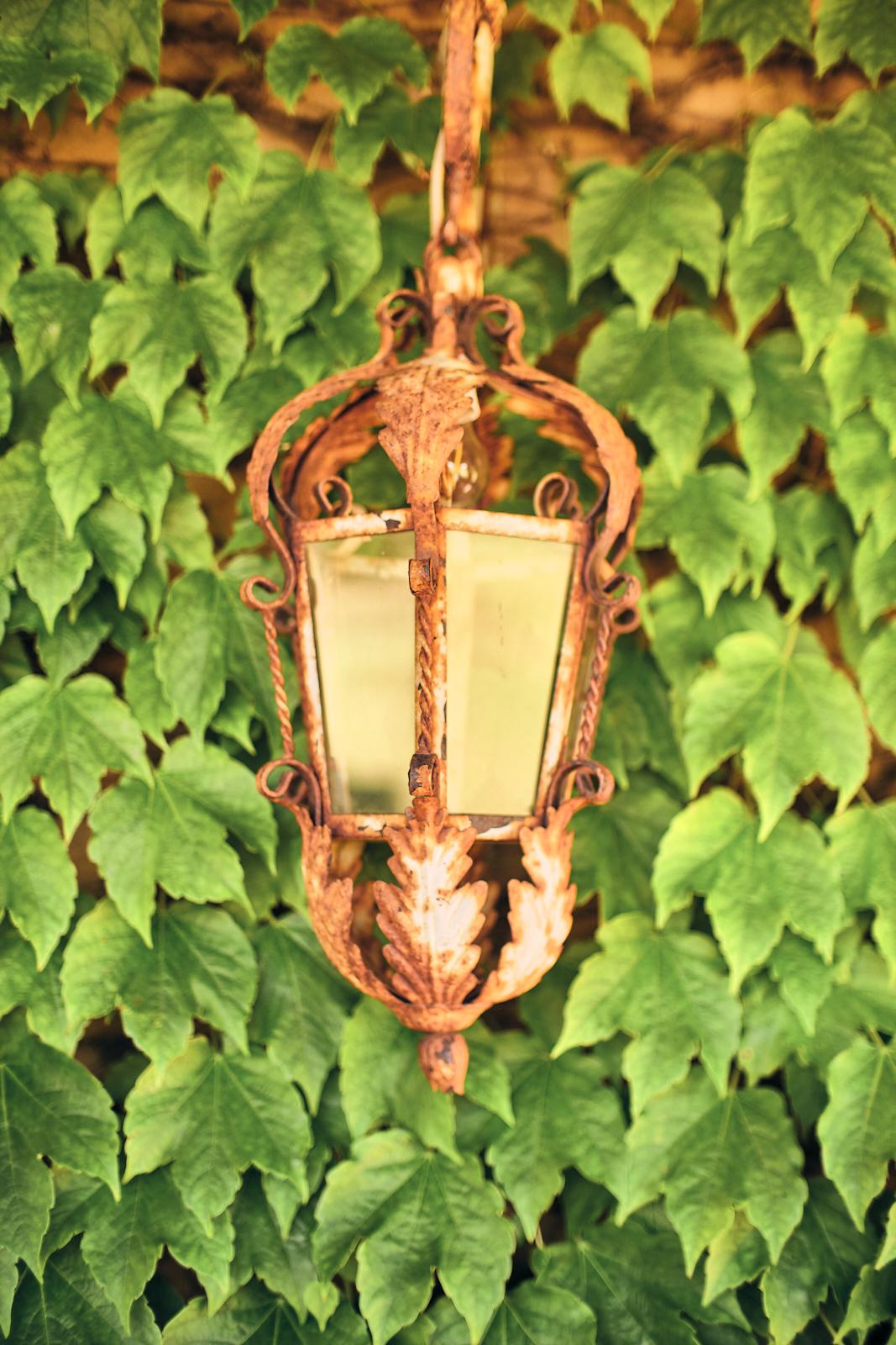 A weathered iron lantern hanging against a wall of ivy