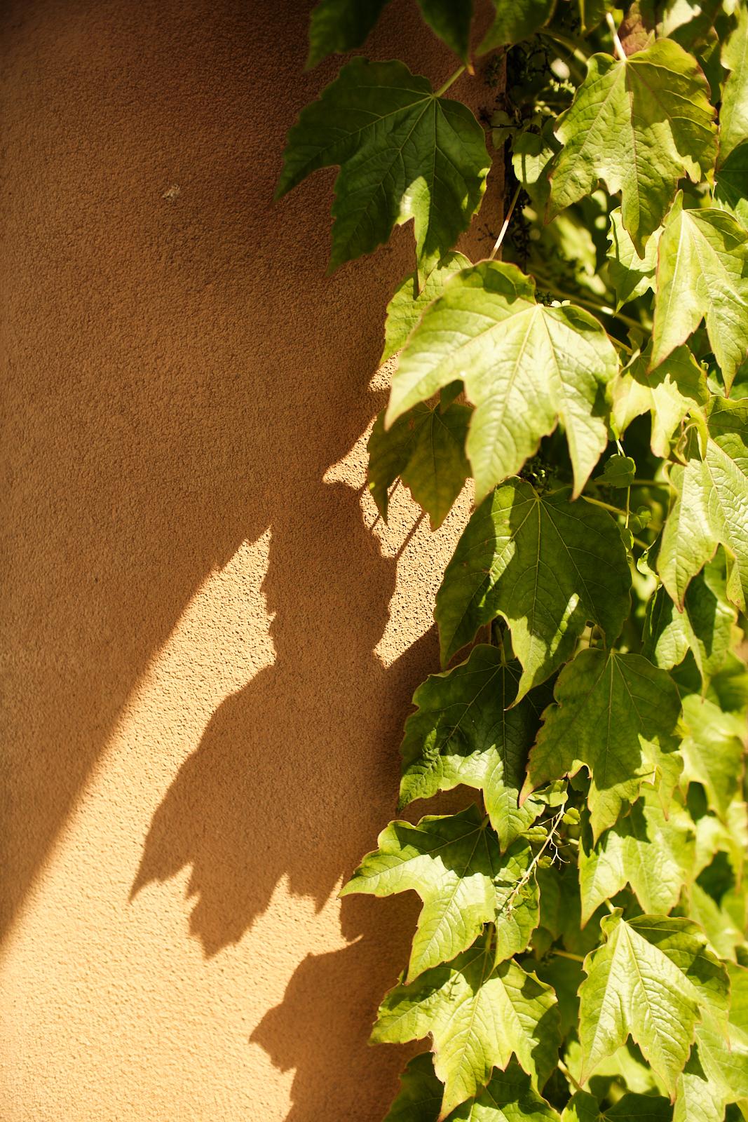 Photograph from the Relais Sant'Elena shoot
