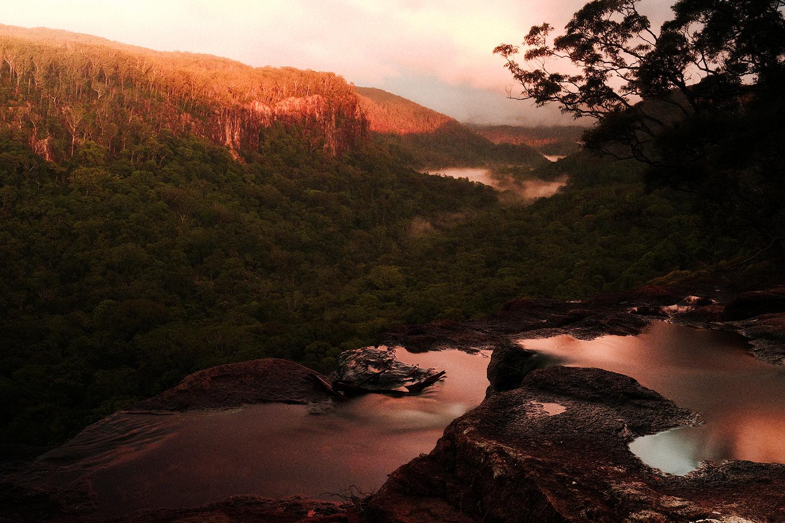 A misty forested valley at dawn, seen from a rock ledge holding still pools of water