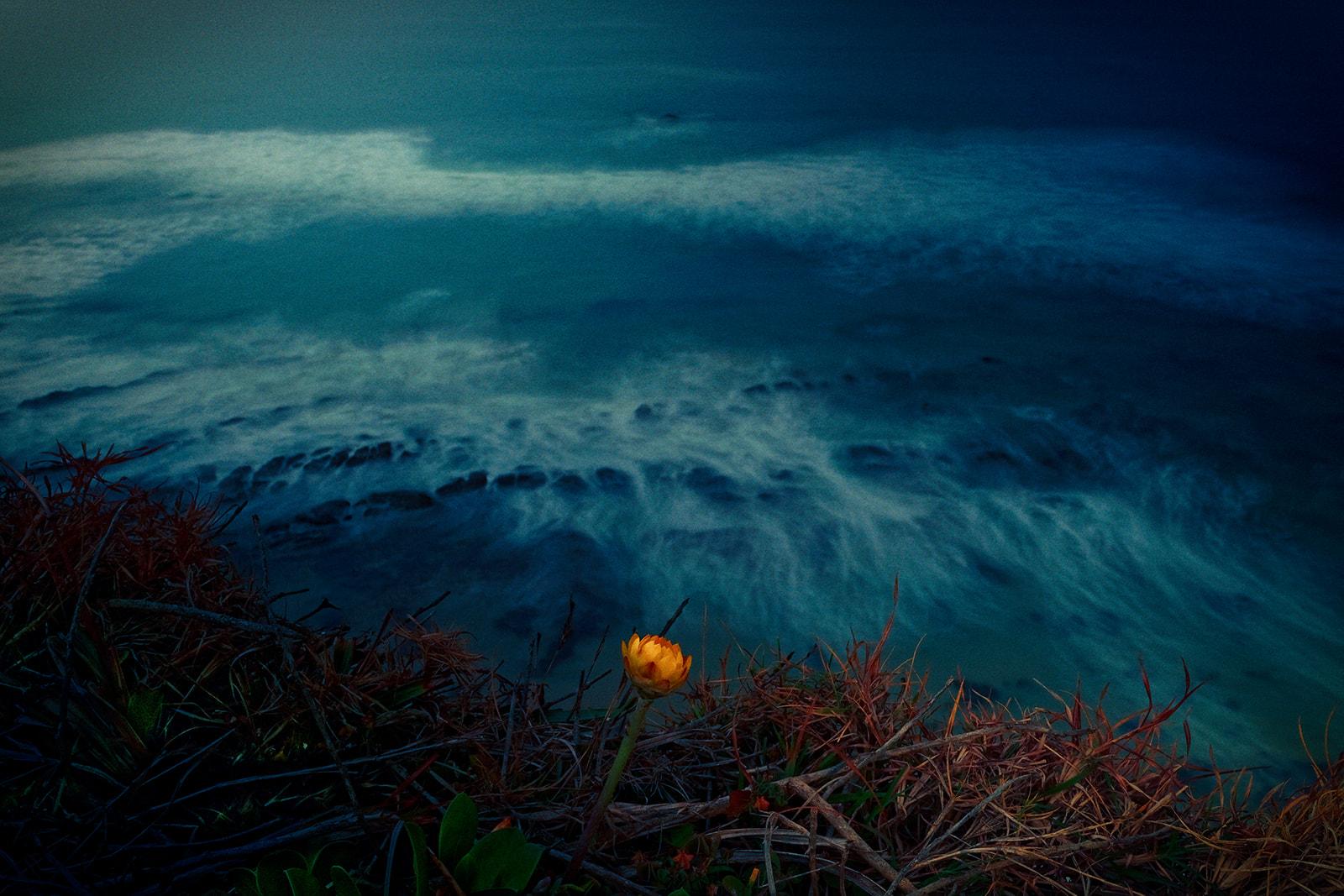 Long-exposure ocean waves turned to mist at night, with a single lit flower on the clifftop