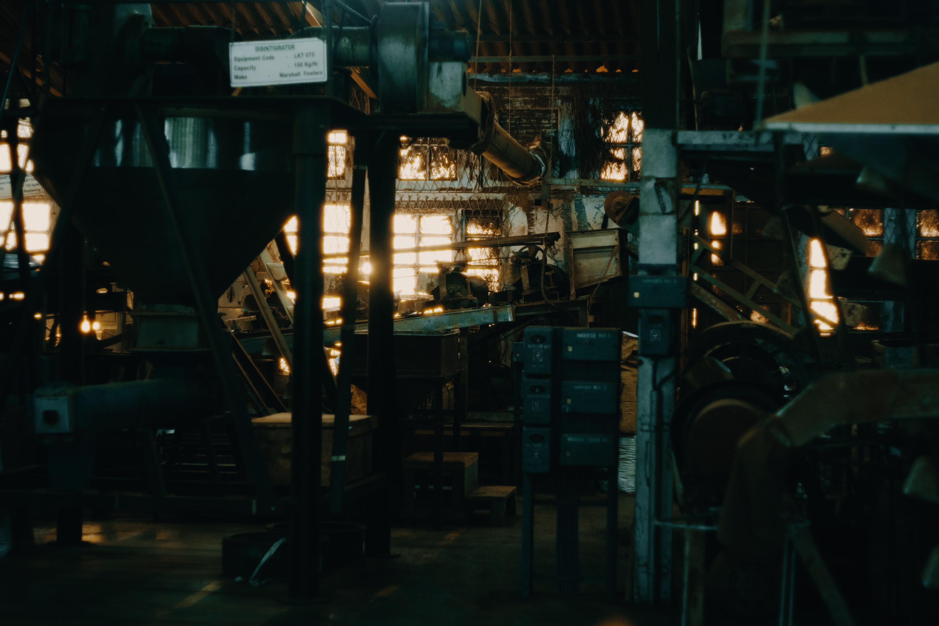 The tea factory's machinery lit by low light through dust-streaked windows