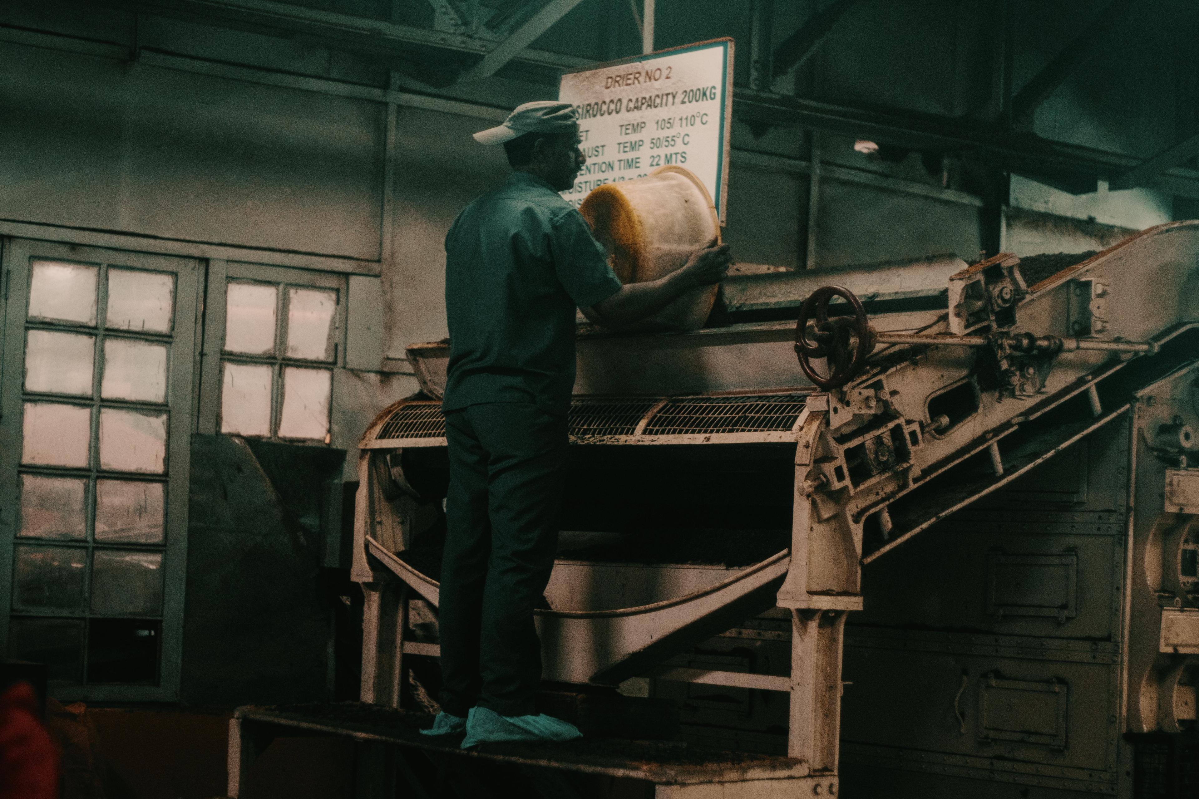 A worker feeding tea into the drier, a hand-lettered "Drier No 2" sign mounted above him