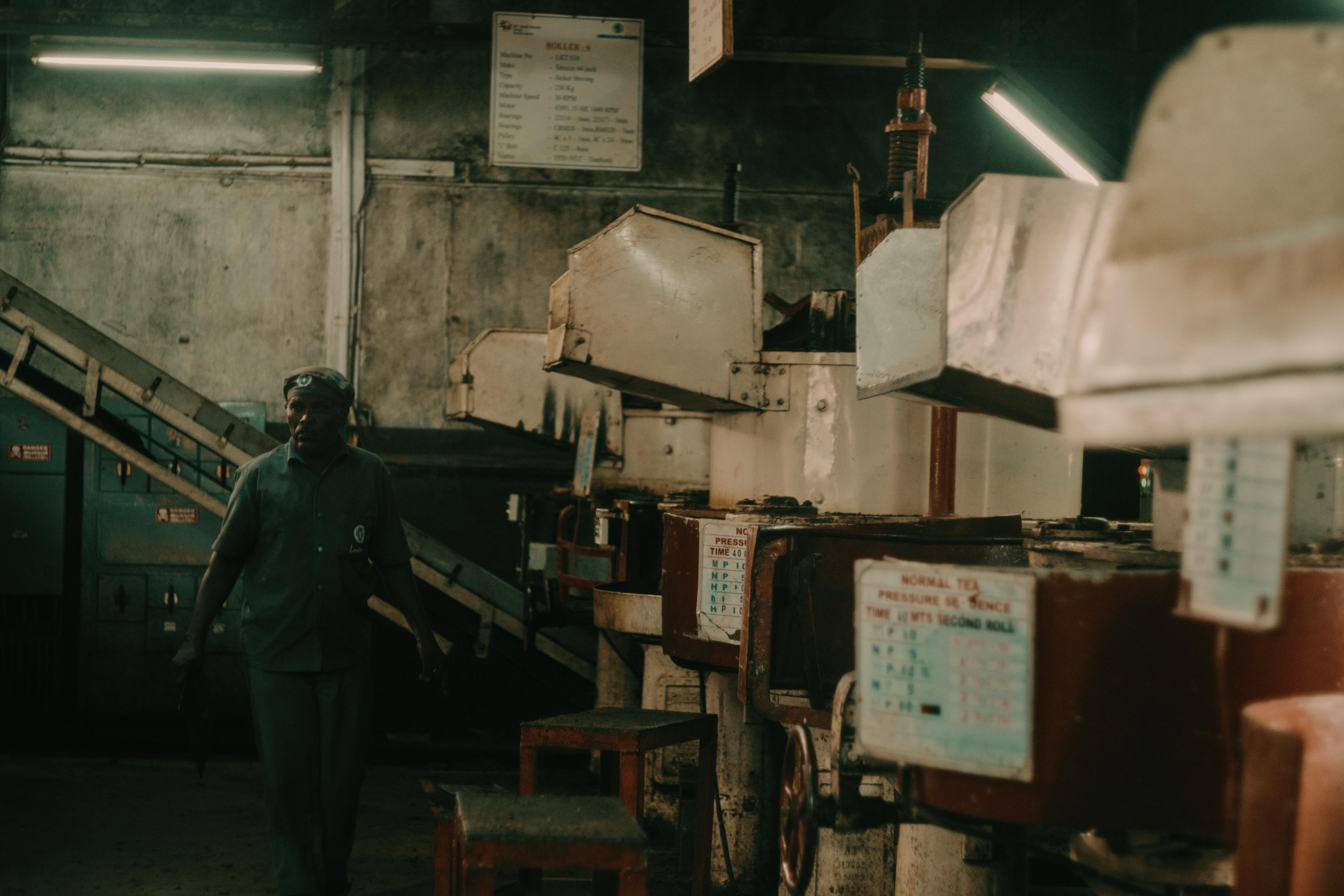 A factory worker walking past the rolling machines inside the tea factory