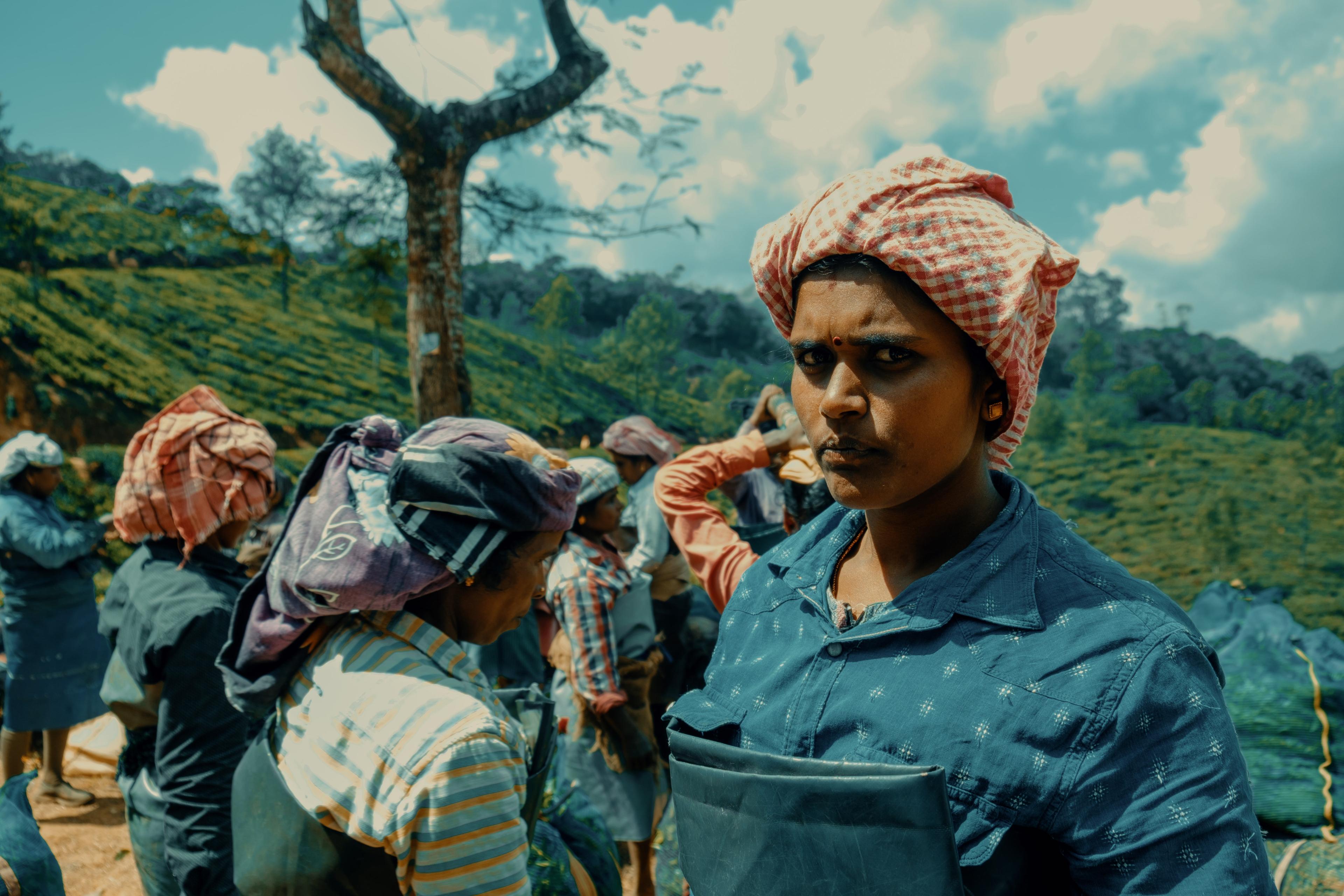 A tea picker in a red-checked headscarf looking directly at the camera, other pickers blurred behind her
