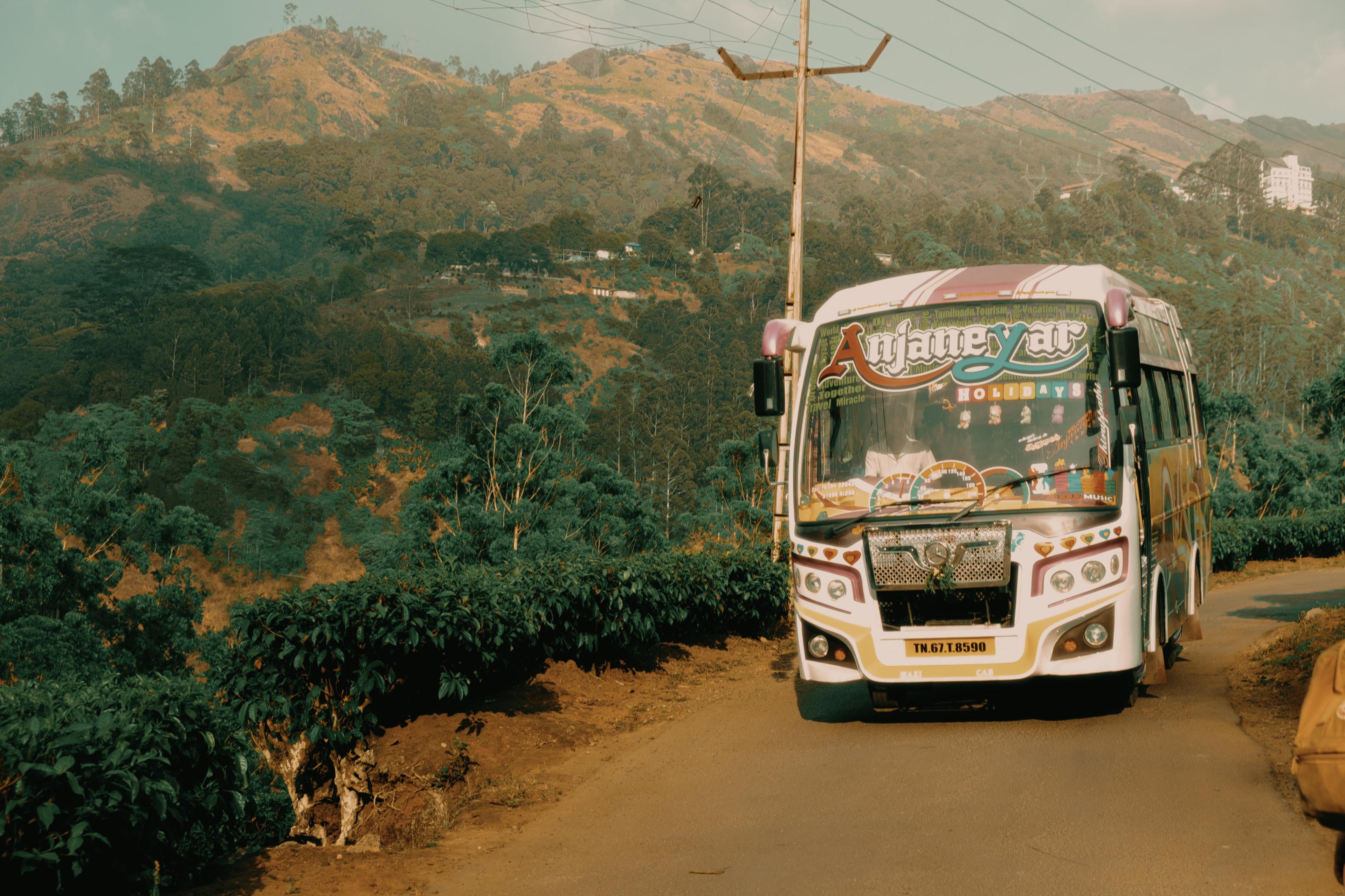 A brightly painted tourist bus on a mountain road above the tea plantation