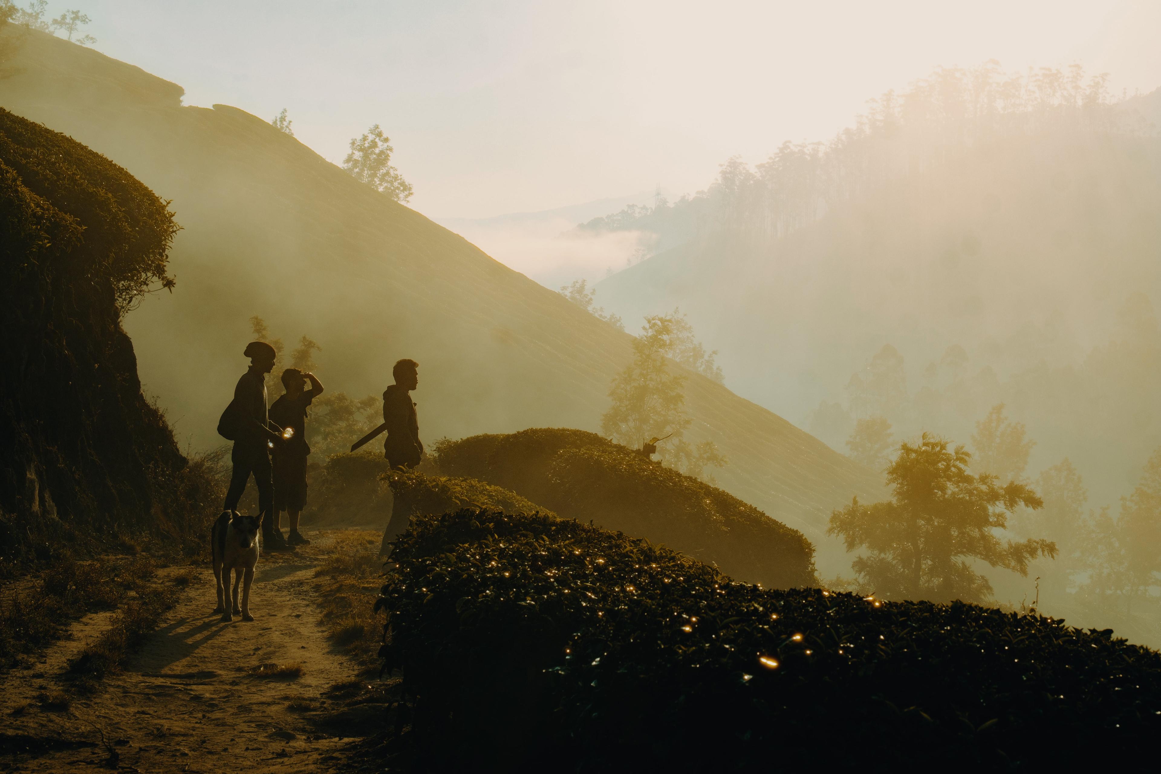 Workers and a dog silhouetted on a ridge path in the sunrise mist